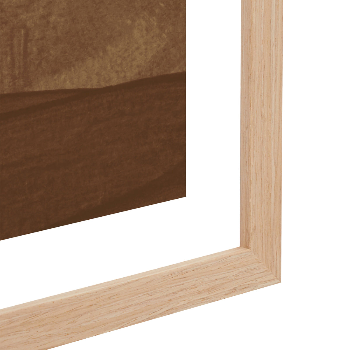 Holland Nutmeg 1 Art Print