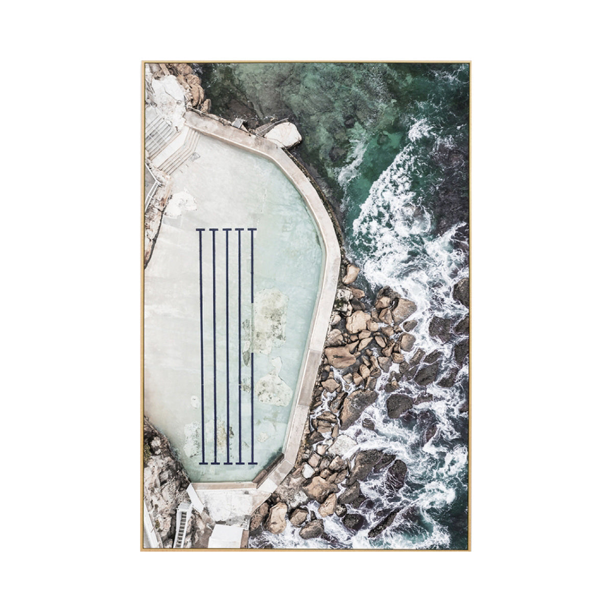 Sydney Swim Portrait Art Print