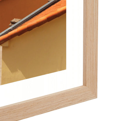 Sunsoaked View Art Print