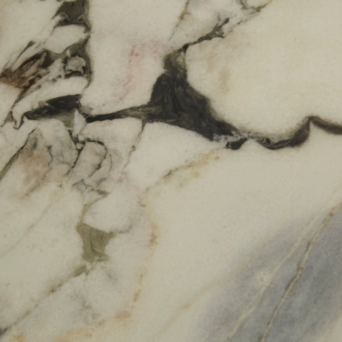 Oberon Curve Coffee Table