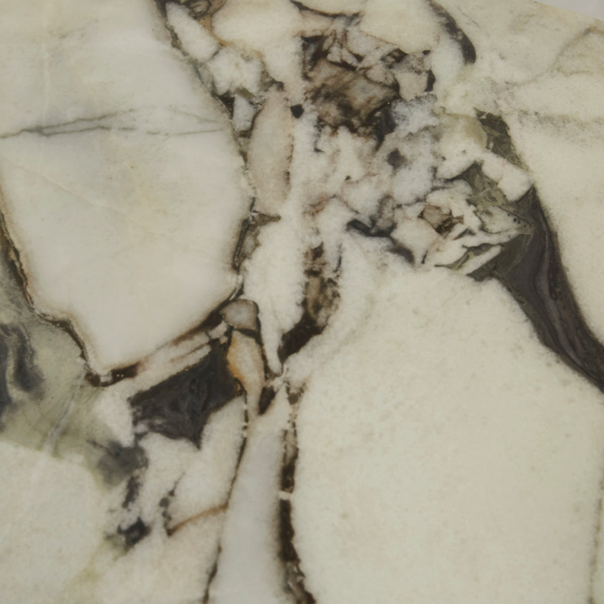 Oberon Curve Coffee Table