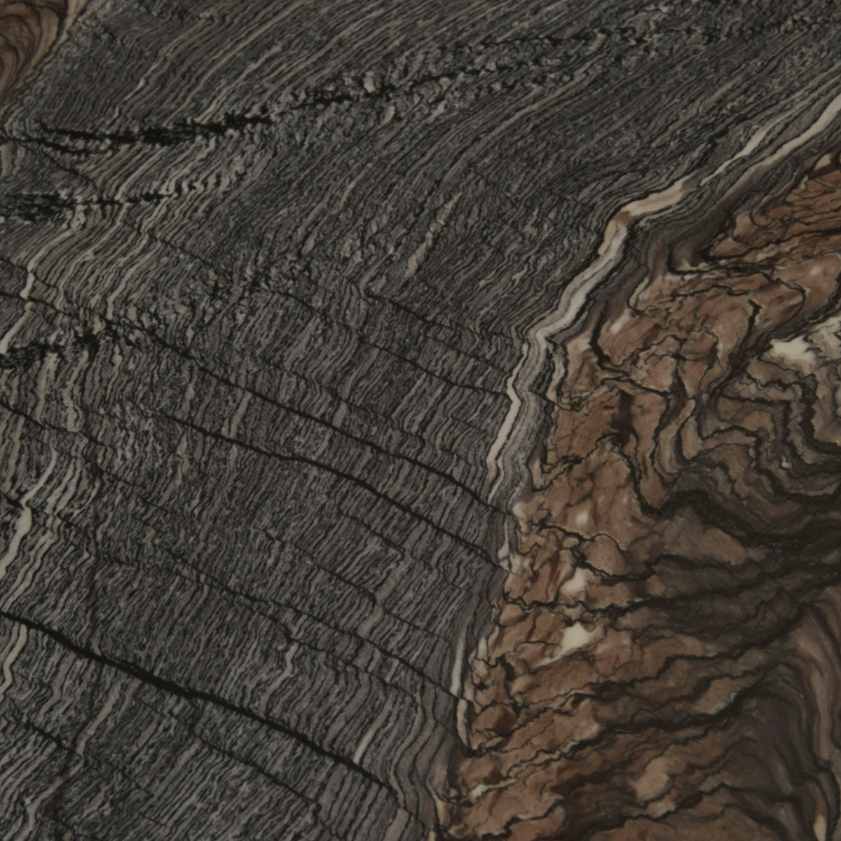 Oberon Curve Coffee Table