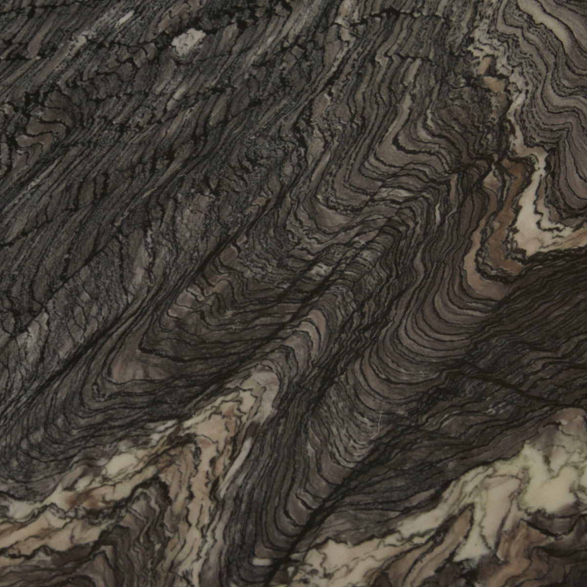 Oberon Curve Coffee Table