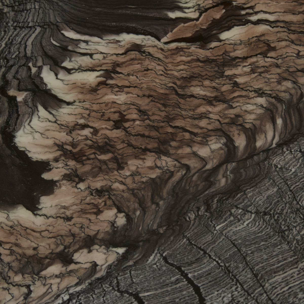 Oberon Curve Coffee Table