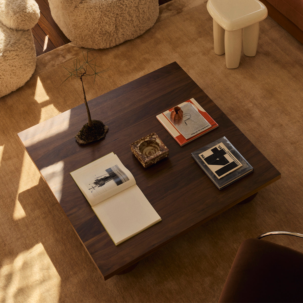 Yoko Capsule Coffee Table (Walnut Natural)