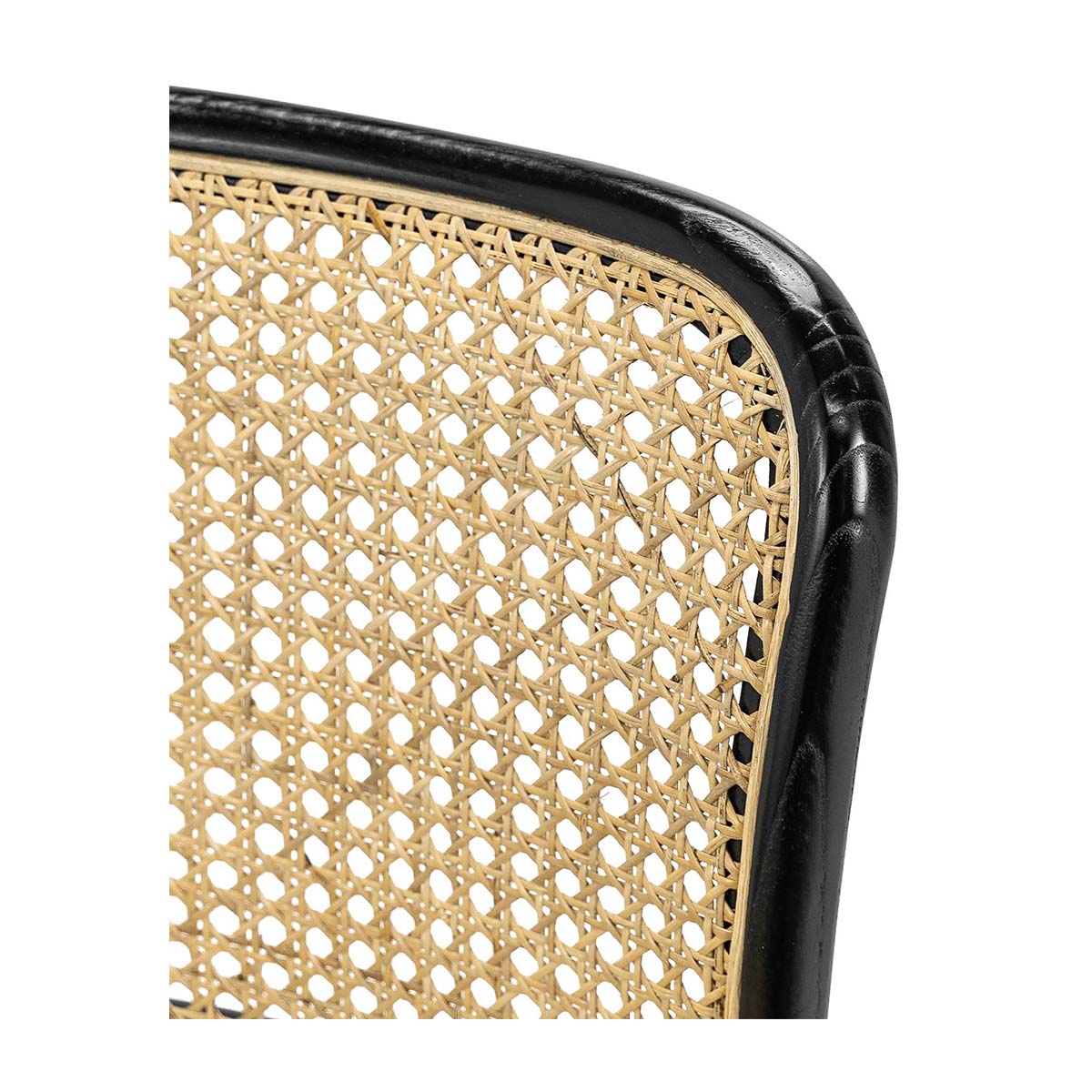 Bentwood Rattan Dining Chair (Set of 2)