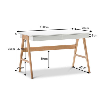 Nordic Style 2 Drawer Desk