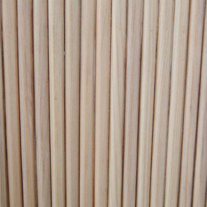 Artie Ripple Entertainment Unit