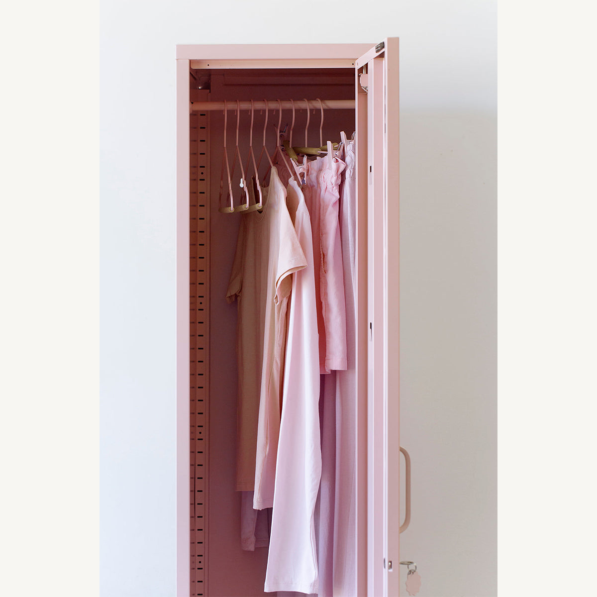 Clip Hangers (Set of 5)