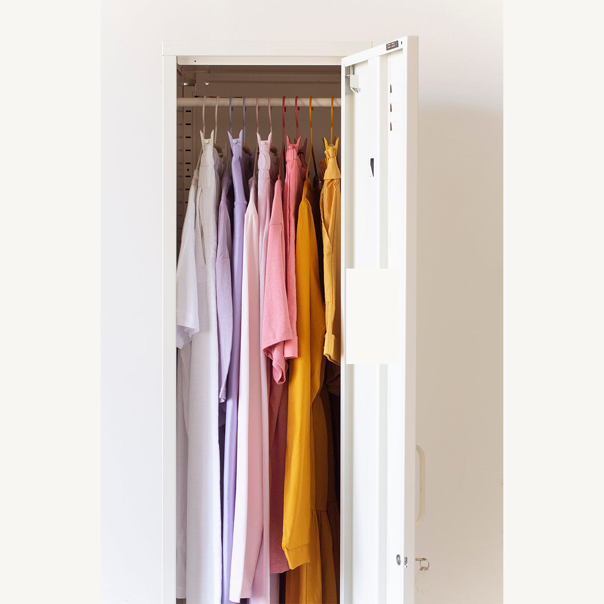 Clip Hangers (Set of 5)