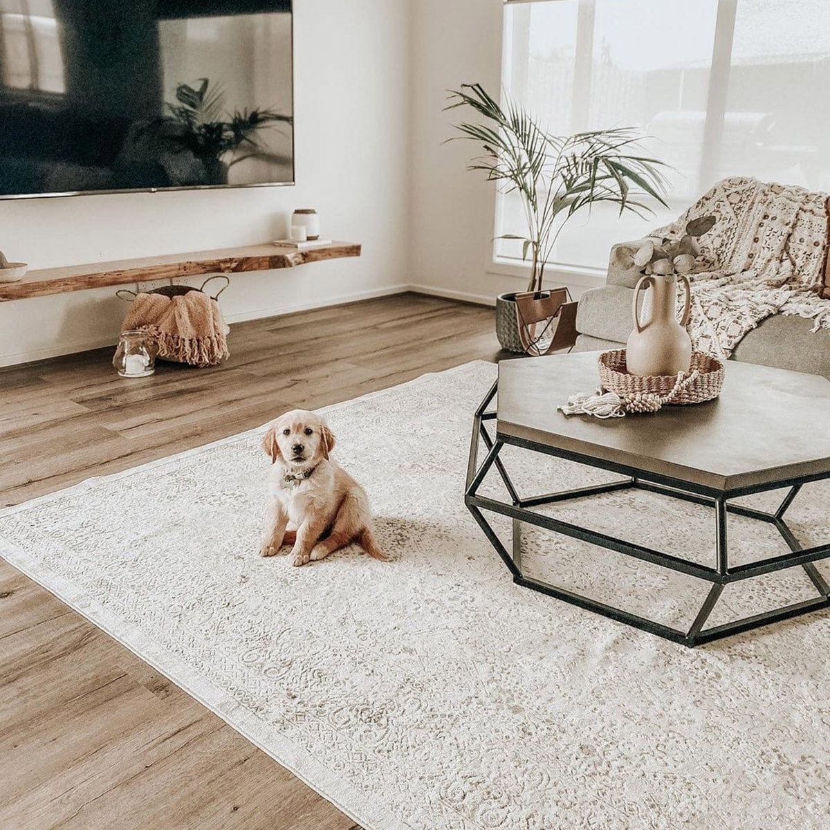 Madison Traditional Distressed Rug