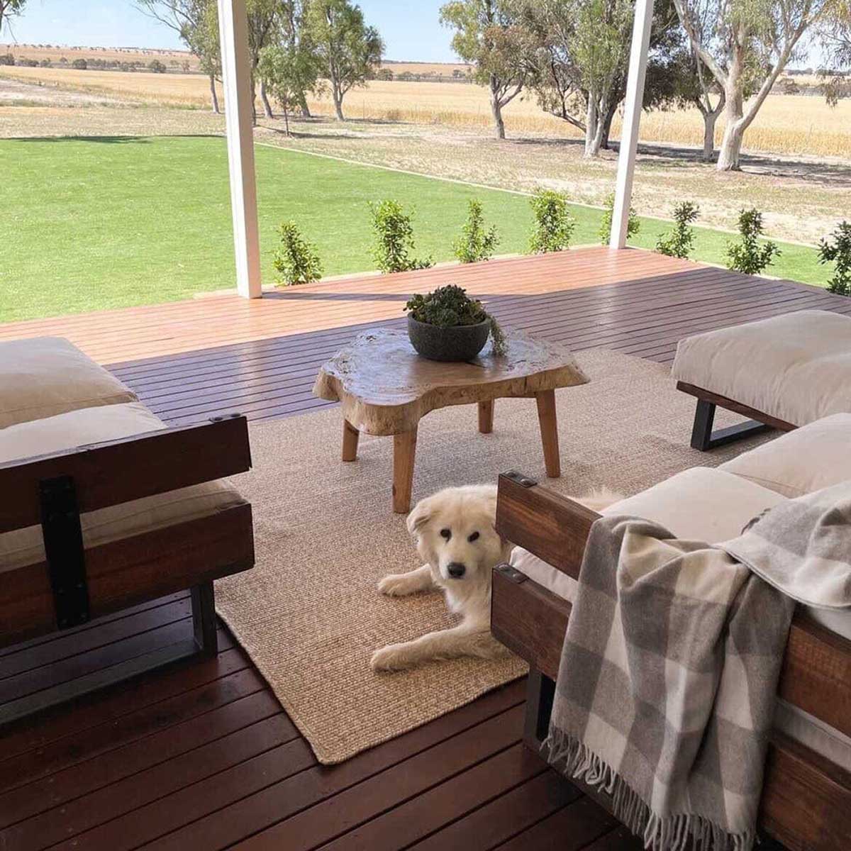 Malia Braided Flatweave Rug