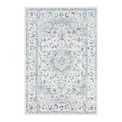 Noor Traditional Distressed Rug