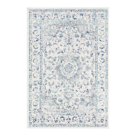 Noor Traditional Distressed Rug
