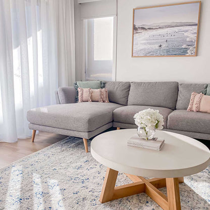 Noor Traditional Distressed Rug