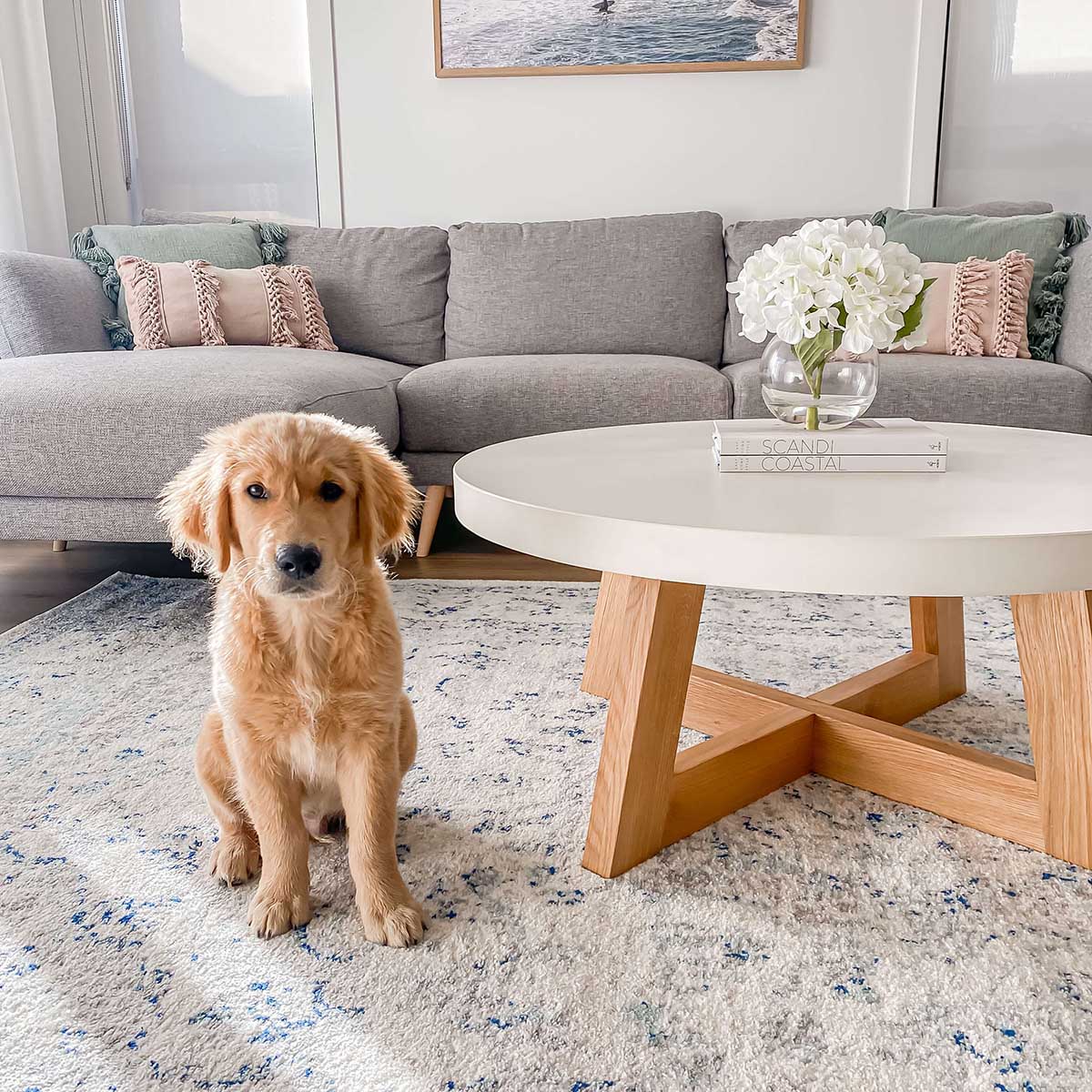 Noor Traditional Distressed Rug