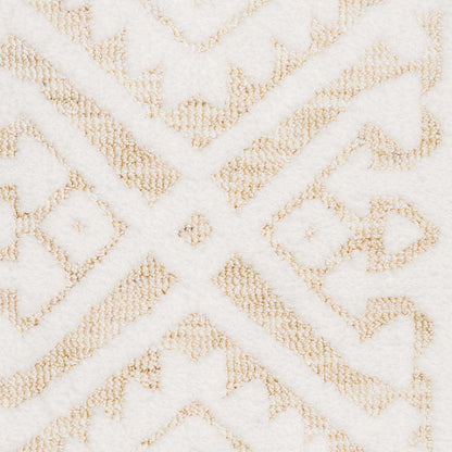 Josephine Tribal Transitional Runner Rug