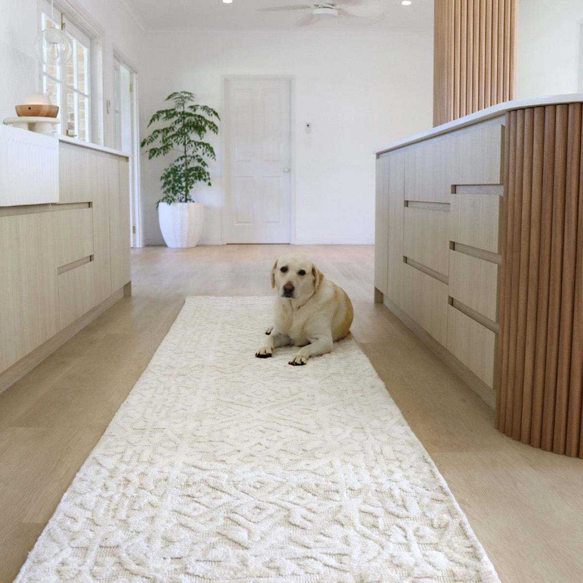 Josephine Tribal Transitional Runner Rug