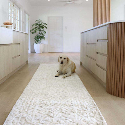 Josephine Tribal Transitional Runner Rug