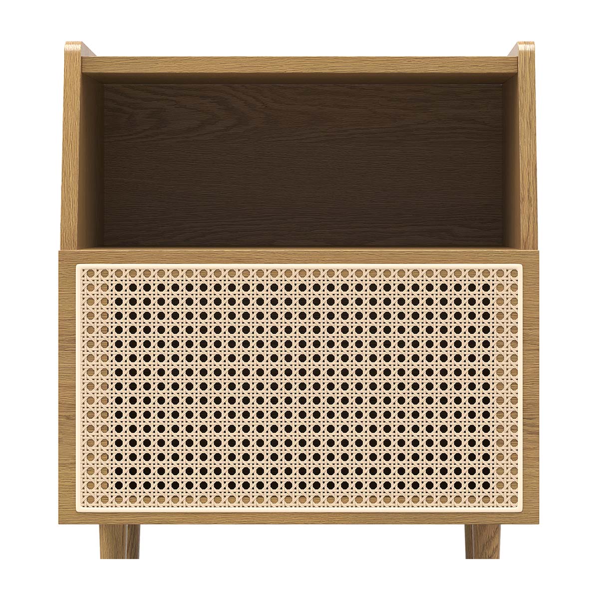 Thea Rattan 1 Door Bedside Table